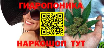 сатива Бузулук